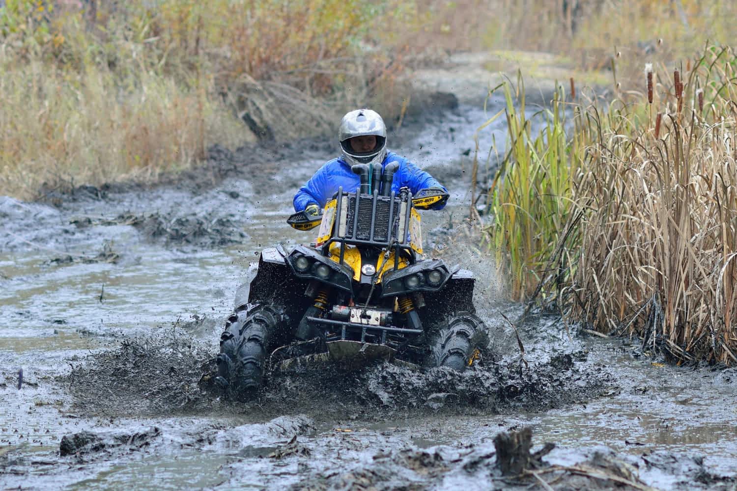 quad w błocie